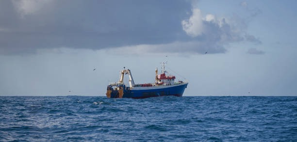 Reel Groovy Experiences Top Choice for Fishing Enthusiasts